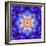 A Mandala Ornament from Flower Photographs, Conceptual Layer Work-Alaya Gadeh-Framed Photographic Print