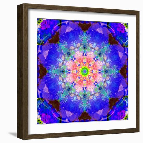 A Mandala Ornament from Flower Photographs, Conceptual Layer Work-Alaya Gadeh-Framed Photographic Print