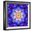 A Mandala Ornament from Flower Photographs, Conceptual Layer Work-Alaya Gadeh-Framed Photographic Print