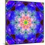 A Mandala Ornament from Flower Photographs, Conceptual Layer Work-Alaya Gadeh-Mounted Photographic Print