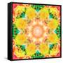 A Mandala Ornament from Flower Photographs, Conceptual Layer Work-Alaya Gadeh-Framed Stretched Canvas