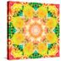 A Mandala Ornament from Flower Photographs, Conceptual Layer Work-Alaya Gadeh-Stretched Canvas