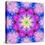 A Mandala Ornament from Flower Photographs, Conceptual Layer Work-Alaya Gadeh-Stretched Canvas