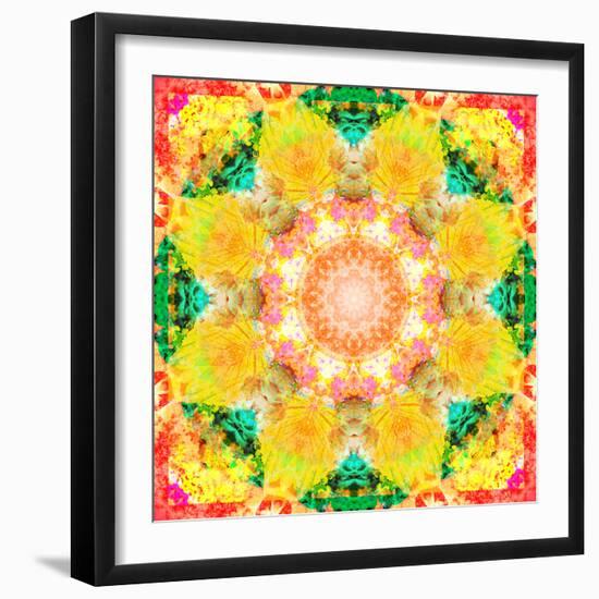 A Mandala Ornament from Flower Photographs, Conceptual Layer Work-Alaya Gadeh-Framed Photographic Print