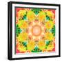 A Mandala Ornament from Flower Photographs, Conceptual Layer Work-Alaya Gadeh-Framed Photographic Print