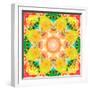 A Mandala Ornament from Flower Photographs, Conceptual Layer Work-Alaya Gadeh-Framed Photographic Print