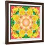 A Mandala Ornament from Flower Photographs, Conceptual Layer Work-Alaya Gadeh-Framed Photographic Print