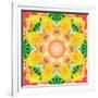 A Mandala Ornament from Flower Photographs, Conceptual Layer Work-Alaya Gadeh-Framed Photographic Print