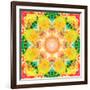 A Mandala Ornament from Flower Photographs, Conceptual Layer Work-Alaya Gadeh-Framed Photographic Print