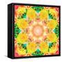 A Mandala Ornament from Flower Photographs, Conceptual Layer Work-Alaya Gadeh-Framed Stretched Canvas