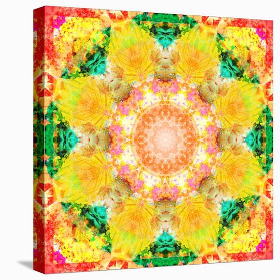 A Mandala Ornament from Flower Photographs, Conceptual Layer Work-Alaya Gadeh-Stretched Canvas