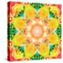 A Mandala Ornament from Flower Photographs, Conceptual Layer Work-Alaya Gadeh-Stretched Canvas