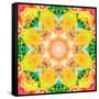 A Mandala Ornament from Flower Photographs, Conceptual Layer Work-Alaya Gadeh-Framed Stretched Canvas