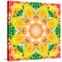 A Mandala Ornament from Flower Photographs, Conceptual Layer Work-Alaya Gadeh-Stretched Canvas