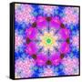 A Mandala Ornament from Flower Photographs, Conceptual Layer Work-Alaya Gadeh-Framed Stretched Canvas