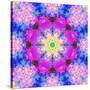 A Mandala Ornament from Flower Photographs, Conceptual Layer Work-Alaya Gadeh-Stretched Canvas