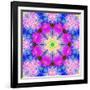 A Mandala Ornament from Flower Photographs, Conceptual Layer Work-Alaya Gadeh-Framed Photographic Print