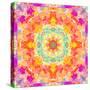 A Mandala Ornament from Flower Photographs, Conceptual Layer Work-Alaya Gadeh-Stretched Canvas