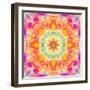 A Mandala Ornament from Flower Photographs, Conceptual Layer Work-Alaya Gadeh-Framed Photographic Print