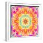 A Mandala Ornament from Flower Photographs, Conceptual Layer Work-Alaya Gadeh-Framed Photographic Print