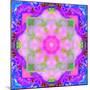 A Mandala Ornament from Flower Photographs, Conceptual Layer Work-Alaya Gadeh-Mounted Photographic Print