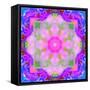 A Mandala Ornament from Flower Photographs, Conceptual Layer Work-Alaya Gadeh-Framed Stretched Canvas