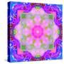 A Mandala Ornament from Flower Photographs, Conceptual Layer Work-Alaya Gadeh-Stretched Canvas