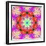 A Mandala Ornament from Flower Photographs, Conceptual Layer Work-Alaya Gadeh-Framed Photographic Print