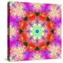 A Mandala Ornament from Flower Photographs, Conceptual Layer Work-Alaya Gadeh-Stretched Canvas