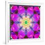 A Mandala Ornament from Flower Photographs, Conceptual Layer Work-Alaya Gadeh-Framed Photographic Print