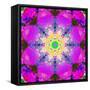 A Mandala Ornament from Flower Photographs, Conceptual Layer Work-Alaya Gadeh-Framed Stretched Canvas