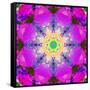 A Mandala Ornament from Flower Photographs, Conceptual Layer Work-Alaya Gadeh-Framed Stretched Canvas