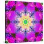 A Mandala Ornament from Flower Photographs, Conceptual Layer Work-Alaya Gadeh-Stretched Canvas