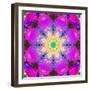 A Mandala Ornament from Flower Photographs, Conceptual Layer Work-Alaya Gadeh-Framed Photographic Print