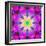 A Mandala Ornament from Flower Photographs, Conceptual Layer Work-Alaya Gadeh-Framed Photographic Print