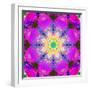 A Mandala Ornament from Flower Photographs, Conceptual Layer Work-Alaya Gadeh-Framed Photographic Print