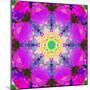 A Mandala Ornament from Flower Photographs, Conceptual Layer Work-Alaya Gadeh-Mounted Photographic Print