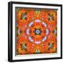 A Mandala Ornament from Flower Photographs, Conceptual Layer Work-Alaya Gadeh-Framed Photographic Print