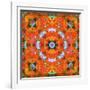 A Mandala Ornament from Flower Photographs, Conceptual Layer Work-Alaya Gadeh-Framed Photographic Print