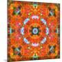 A Mandala Ornament from Flower Photographs, Conceptual Layer Work-Alaya Gadeh-Mounted Photographic Print