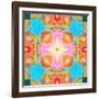 A Mandala Ornament from Flower Photographs-Alaya Gadeh-Framed Photographic Print