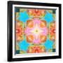 A Mandala Ornament from Flower Photographs-Alaya Gadeh-Framed Photographic Print