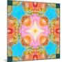 A Mandala Ornament from Flower Photographs-Alaya Gadeh-Mounted Photographic Print