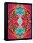 A Mandala Ornament from Flowers and Drawings-Alaya Gadeh-Framed Stretched Canvas