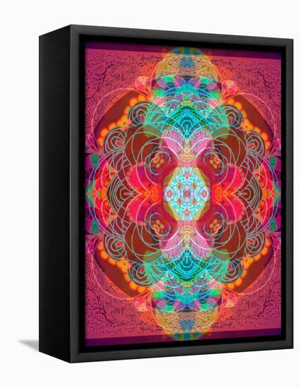 A Mandala Ornament from Flowers and Drawings-Alaya Gadeh-Framed Stretched Canvas