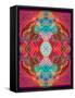 A Mandala Ornament from Flowers and Drawings-Alaya Gadeh-Framed Stretched Canvas