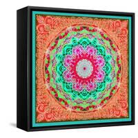 A Mandala Ornament from Flowers and Drawings-Alaya Gadeh-Framed Stretched Canvas