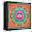 A Mandala Ornament from Flowers and Drawings-Alaya Gadeh-Framed Stretched Canvas