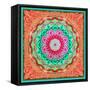 A Mandala Ornament from Flowers and Drawings-Alaya Gadeh-Framed Stretched Canvas