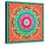 A Mandala Ornament from Flowers and Drawings-Alaya Gadeh-Stretched Canvas